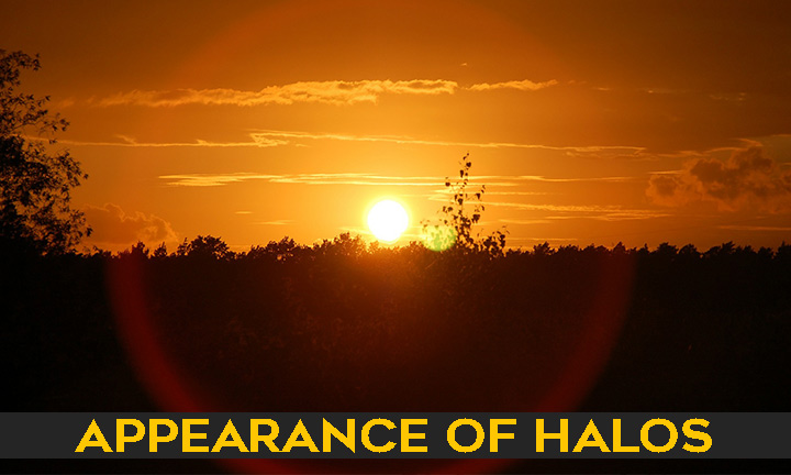 Appearance of Halos