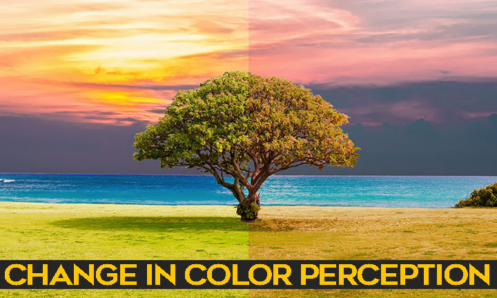 Change in Color Perception