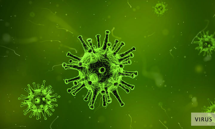 Virus